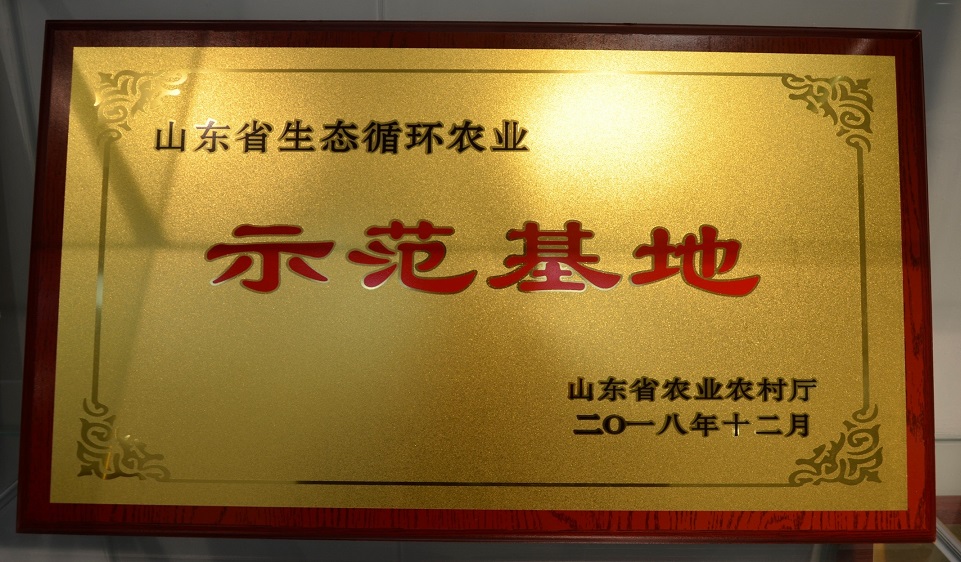 1611304621680697.jpg 1611304621680697.jpg