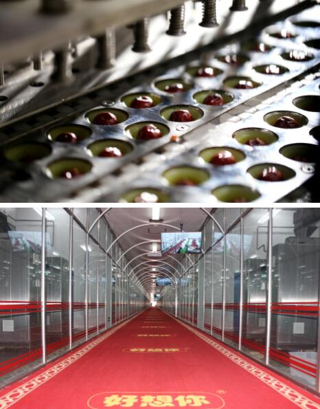 用心构筑的“红枣帝国”