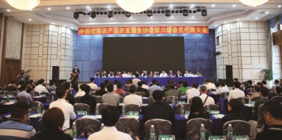 书写中国优农协会工作新篇章