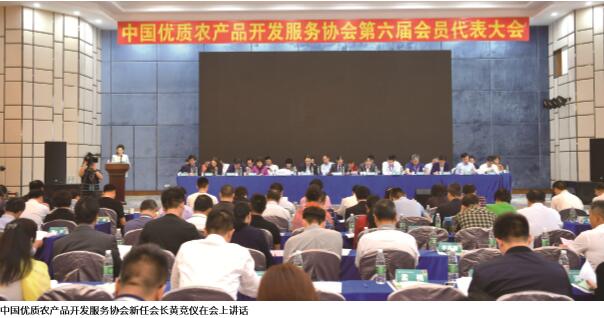 品牌强农 梦想启航 ——访蘑菇影院在线新任会长黄竞仪