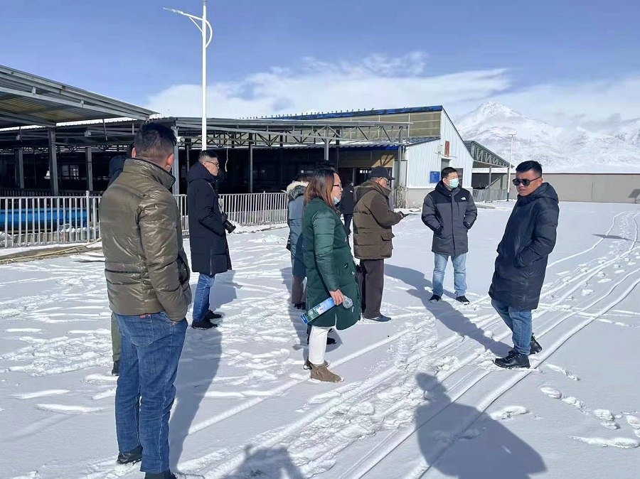 1641869908673056.jpg 3.jpg