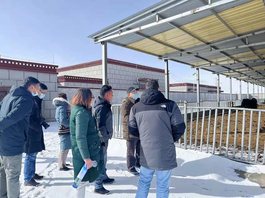 1641870010874793.jpg 6.jpg