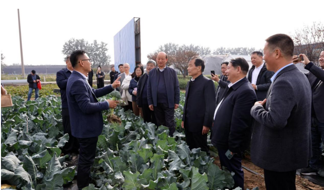 1730450715541228.png image.png